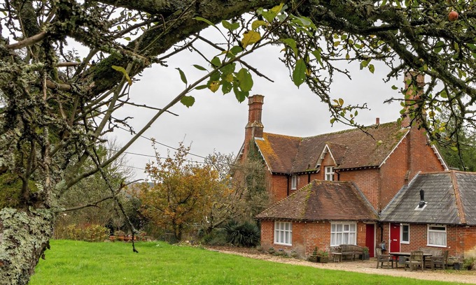 New Forest District House | Tranquil Forest Retreat in Brockenhurst