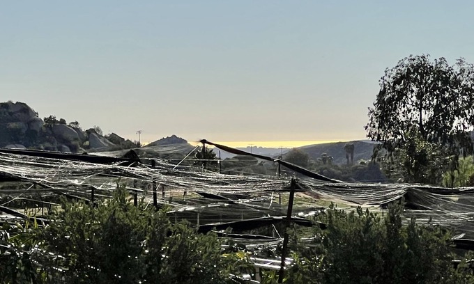 Ramona House | Tranquil Setting On Lush Farm & Vineyard