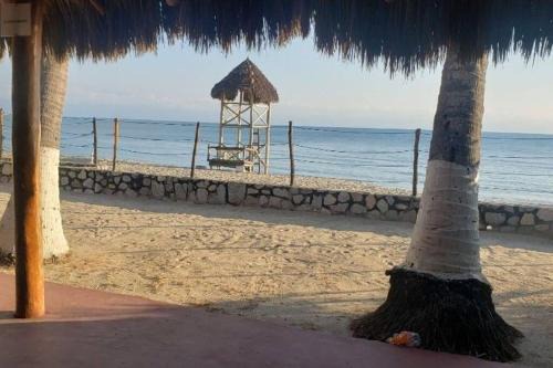 Bucerias Apartment | Tranquilidad cerca de la playa