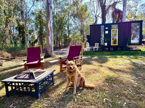 Cedar Creek House | Tranquility Ranch by Tiny Away