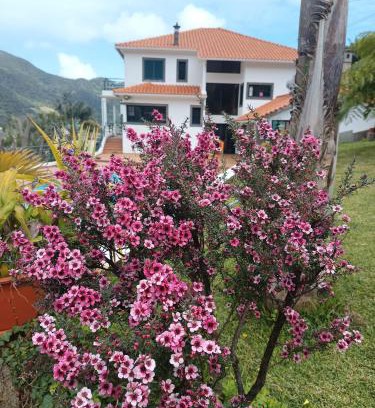 Machico House | Traveller's House