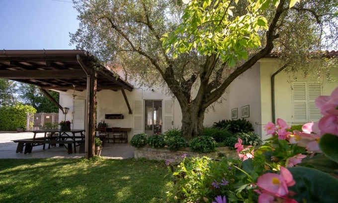 Senigallia Bed & Breakfast | Trecentolivi B&b