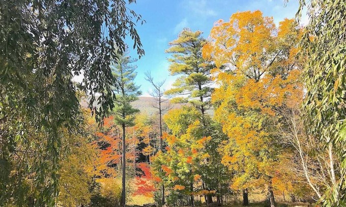 Saugerties Apartment | Tree-House Apartment in the Catskill Mountains