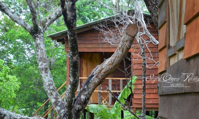 Sigiriya House | Tree house sigiri queens rest