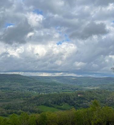 Trenton House | Tree top View 15