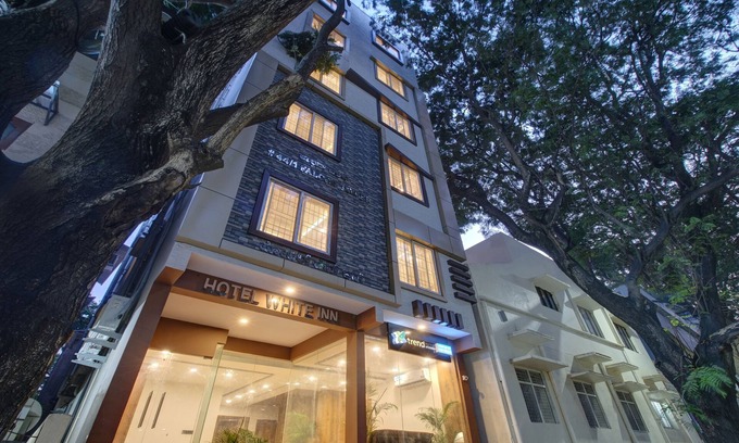 Bangalore City Center Hotel | Treebo White Inn