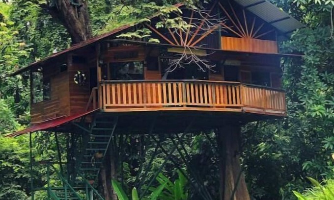 Jaco House | Treehouse with butterfly and exotic fruit farm
