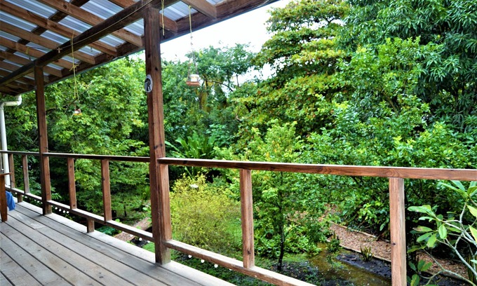 San Ignacio House | Treetop 'jungle Like' Escape in San Ignacio Your Belize Oasis Awaits!