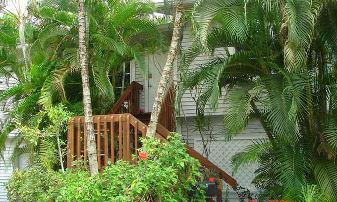 Bonita Springs Cottage | Treetops Riverfront Private Cottage w/Dock,wildlife,kayak,bike,pool,100+ reviews