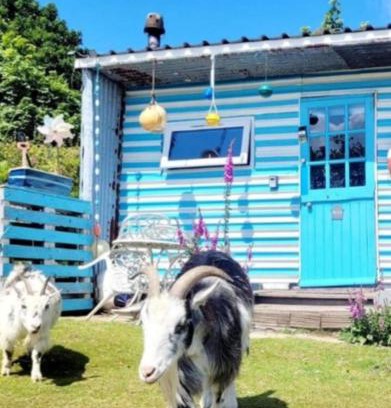 Redruth Other | Treguth Glamping Unique Experience - Themed Huts