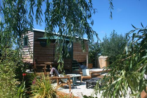 Otterham Other | TREKLYS Shepherds Hut