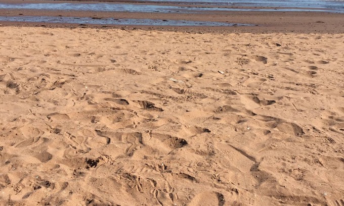 Paignton Bed & Breakfast | Trentham House