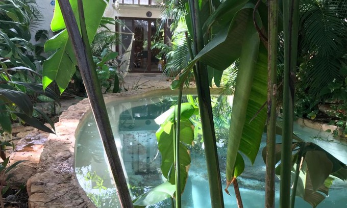 Merida Municipality House | Tropical Cenote Loft North City 420