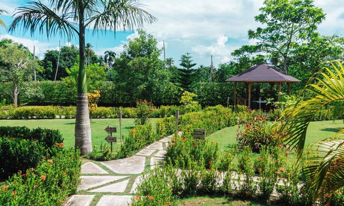 Sanchez Villa | Tropical Retreat with Private Pool in Samaná for families and Groupsnn