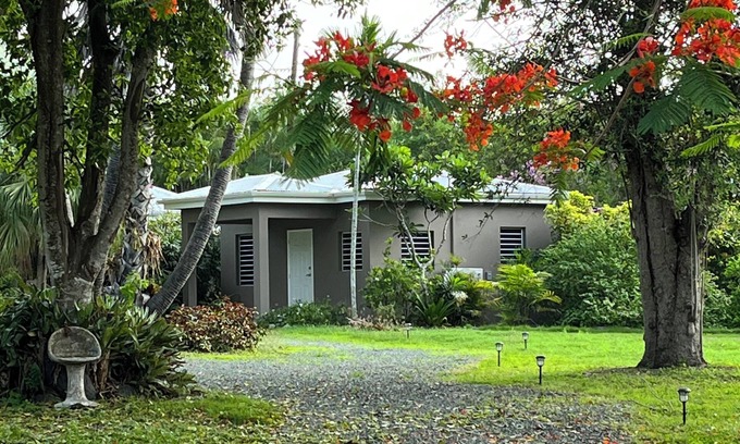 Kingshill Apartment | Tropical Studio on Historical Property - Centrally Located Everything St. Croix!