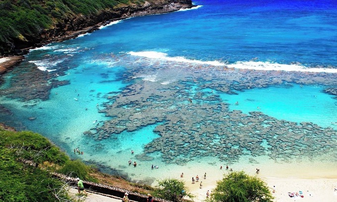 Eastern Honolulu House | Tropical Tranquility - Water Views!