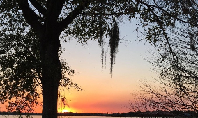 Winter Garden House | True Whimsical Lakefront Getaway; Loved By Returning Snowbirds!