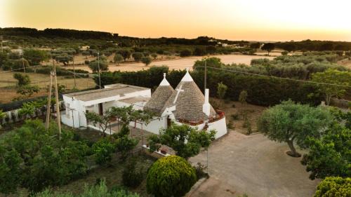 Putignano House | Trulli Ulivi
