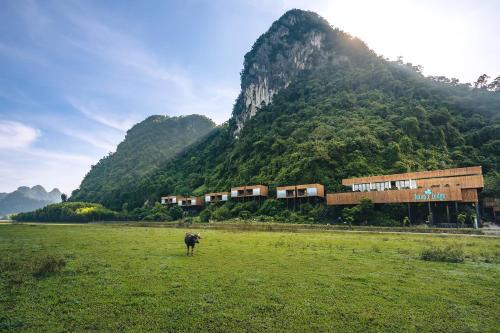 Minh Hoa Hotel | Tu Lan Lodge