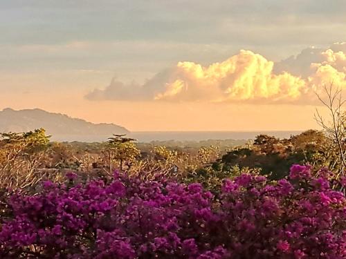 Tarcoles Bed & Breakfast | Tucanes Ridge Bed and Breakfast