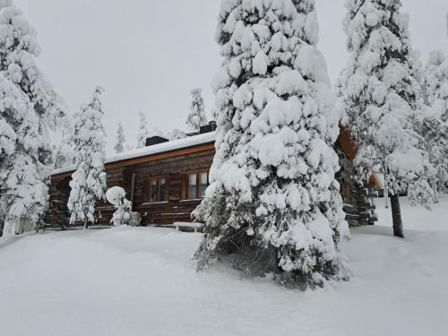 Rukatunturi Ski Chalet | Tunnelmallinen kelohonkamökki (paritalon puolikas) Rukalla
