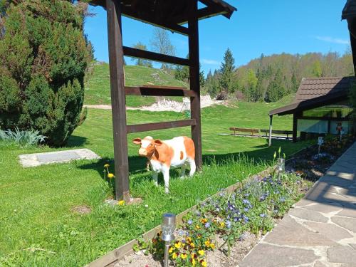 Crni Vrh Bed & Breakfast | turistična kmetija pr mark