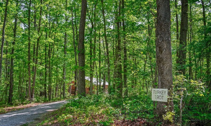 Fort Payne House | Turkey Trot-cozy cabin w/hot tub & fire pit