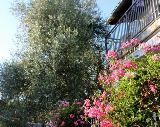 Linardici Apartment | Turković Apartments
