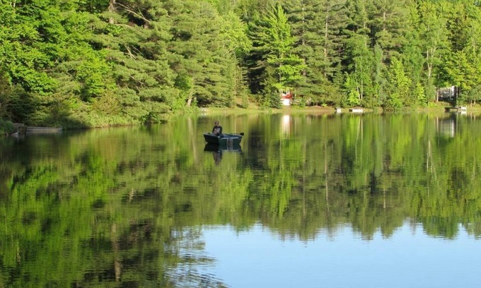 Wetmore Cottage | Turtle Cove on Town Lake: Golden Leaves & Lakeside Views – A Cozy Fall Retreat!