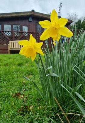 Builth Wells Apartment | Turtle Lodges 29 - Riverside