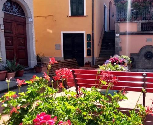 Riparbella Apartment | Tuscany WineArt
