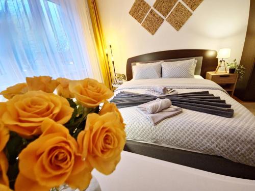 Tirgu Mures Apartment | Tusmorez Central Apartment