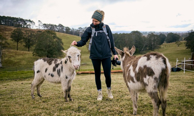 Jenolan Other | Ultimate farmstay experience - 5 minutes from Jenolan