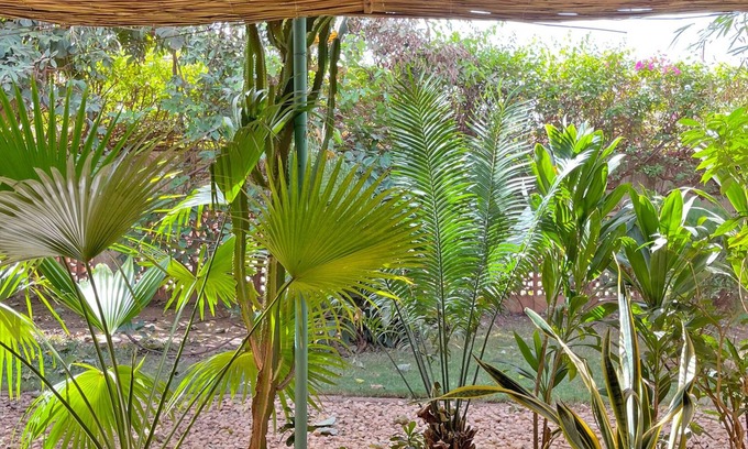Ouagadougou House | Umoja Guest House