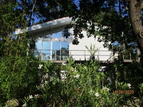 L'Herbe Villa | une maison lumineuse sous les pins