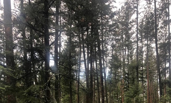 Huson House | Unique Montana Adventure