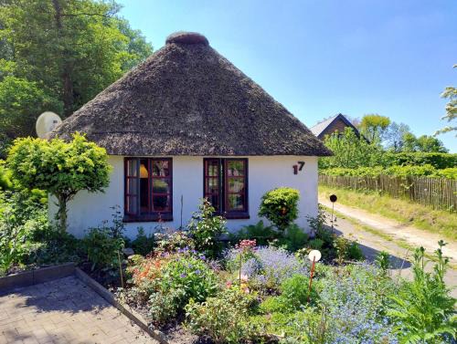 Suderdeich House | Unser Froschhaus