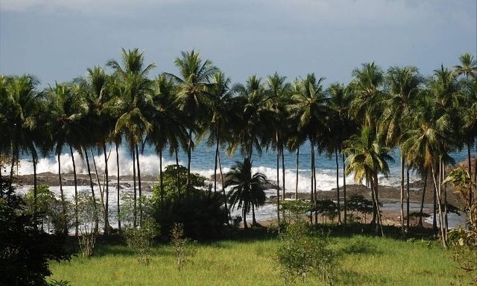 Dominical Apartment | Up Close Ocean View W/Pool-Beach 600 Ft Away- 2nd Flr Studio