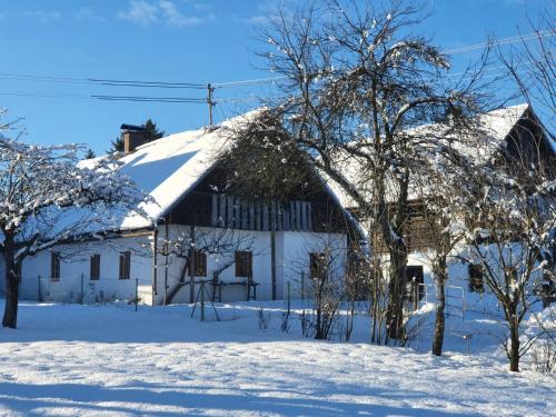Maria Elend House | URige Hütte