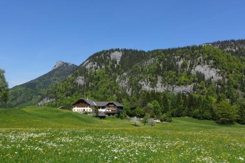 Fuschl am See House | Urlauben im Grünen
