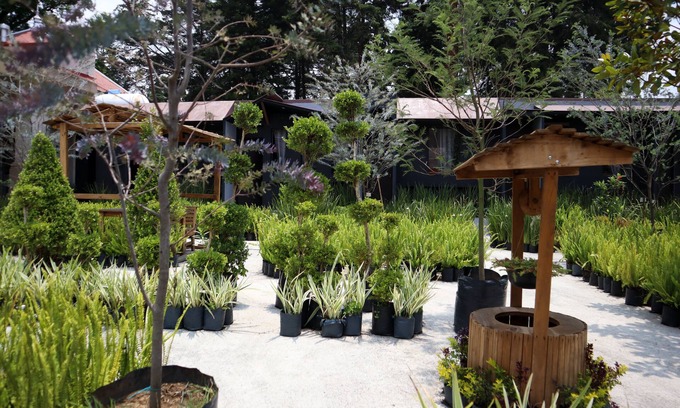 Tlalpan Hotel | Utopía Hotel Boutique