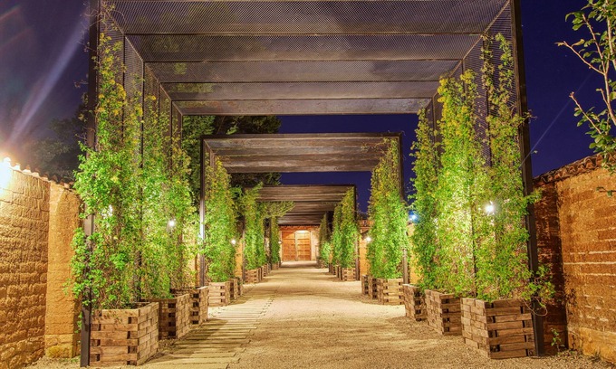San Cristobal de las Casas Hotel | Uvence Arte + Hotel