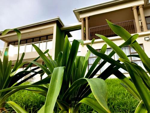 Port St Johns Cabin | Uzuri Lifestyle