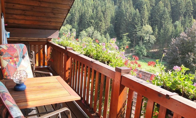 Bad Rippoldsau-Schapbach Apartment | Vacation apartment Talblick, 50 sqm, 2 bedrooms, max. 4 persons