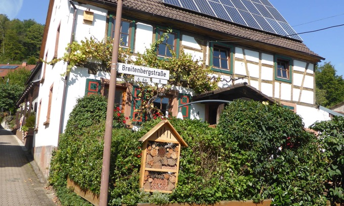 Wilgartswiesen Apartment | Vacation apartment at Breitenberg