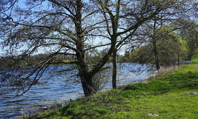 Nehmten Apartment | Vacation apartment directly on the Großer Plöner See