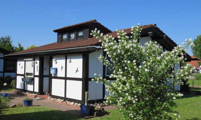 Hollern House | Vacation home 101 Scout 48sqm for max. 4 persons with pet - Holiday home Scout 48