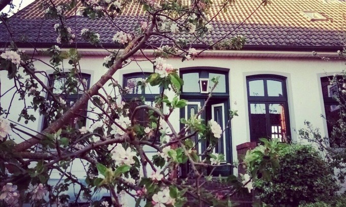 Ditzum House | Vacation home for families/groups/friends Dogs allowed 8 adults 2 children