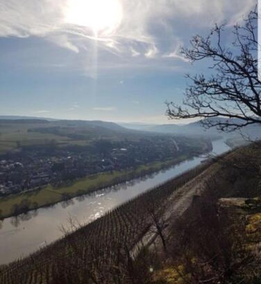 Brauneberg Apartment | Vacation home Moselsteg