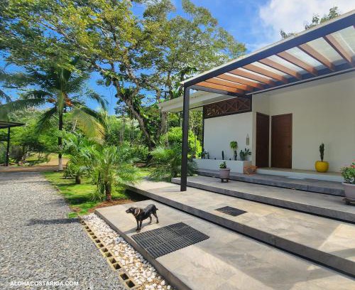Las Delicias House | Vacation Home Retreat -Casa Aloha- 3BR 3BDR Sleeps 8